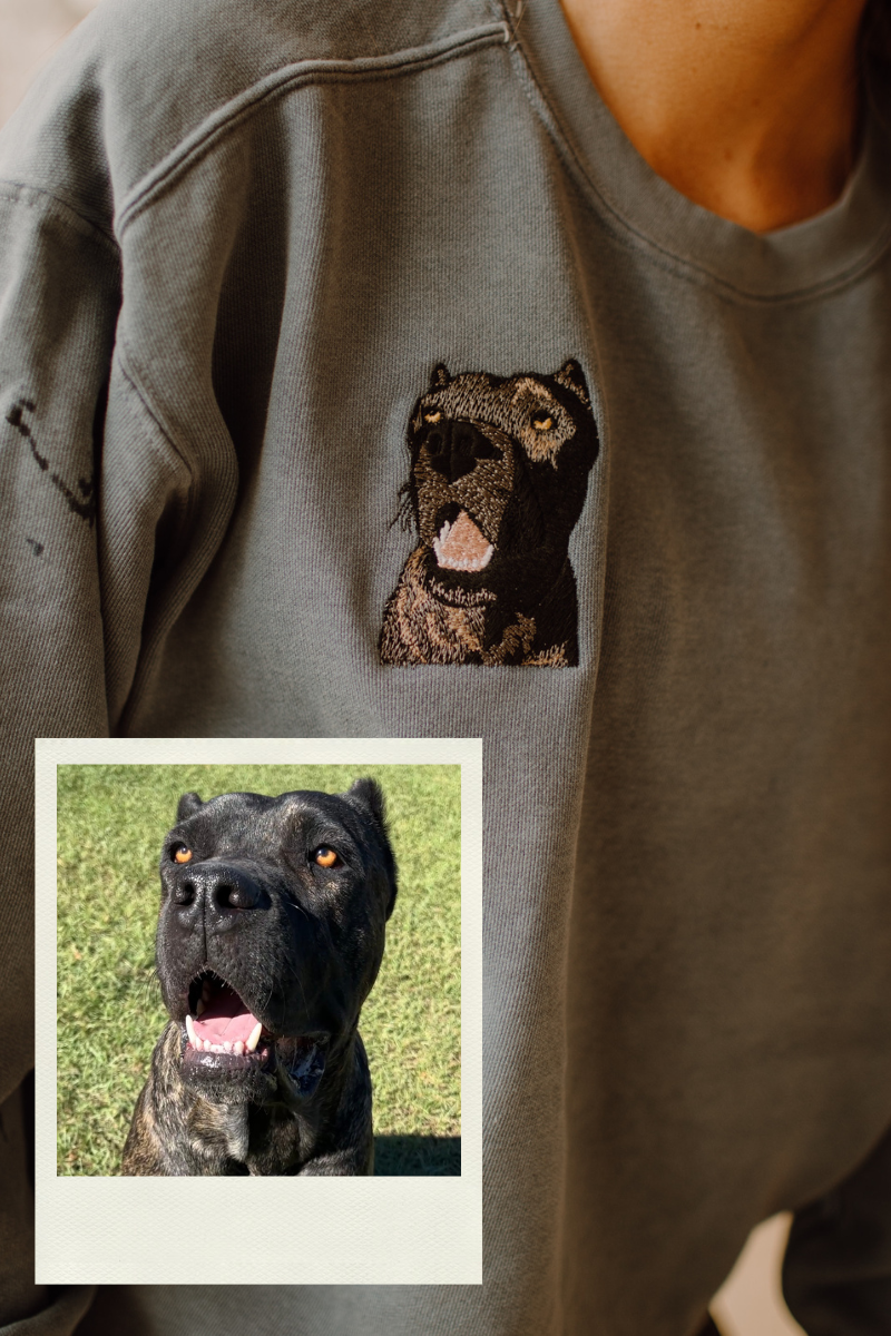 Fur-Ever Luxe Sweatshirt
